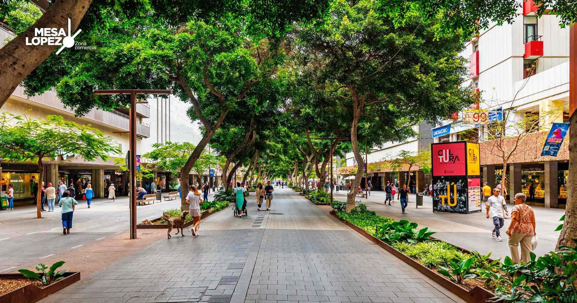 Zona peatonal y comercial de Mesa y López